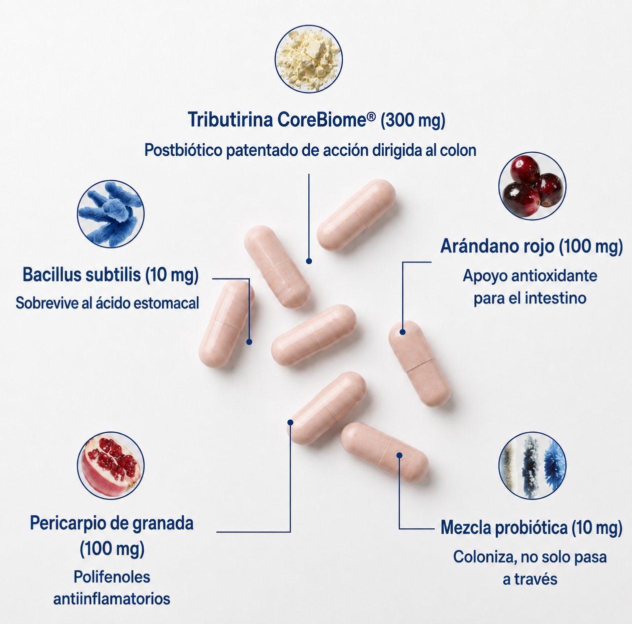 Tribiótico Diario (Pre + Pro + Postbiótico)
