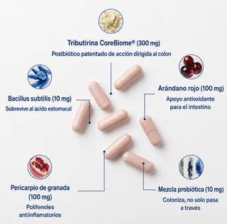Tribiótico Diario (Pre + Pro + Postbiótico)