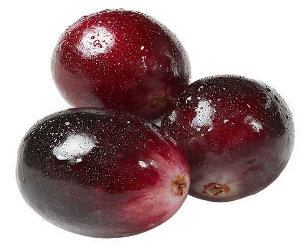Fruta de arándano (100mg)